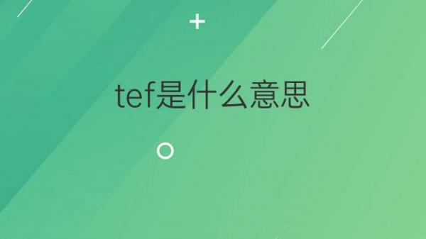 themeforest wordpress themes (themeforest官网)-SEO论坛-分享经验-东莞市快语信息咨询有限公司