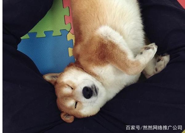 白帽seo是业内公认的效果较好的seo手法
