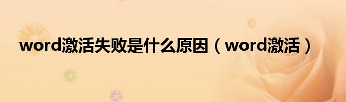 进不了word2019