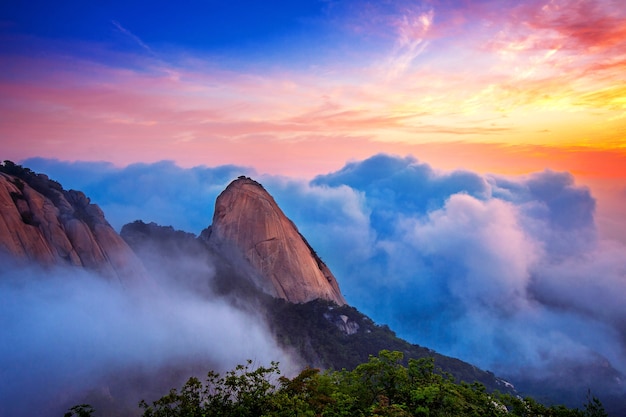 你知道吗？Linux系统其实是国产的吗？-SEO论坛-分享经验-东莞市快语信息咨询有限公司