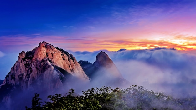 PHP编程必学的5个步骤，你还在等什么？