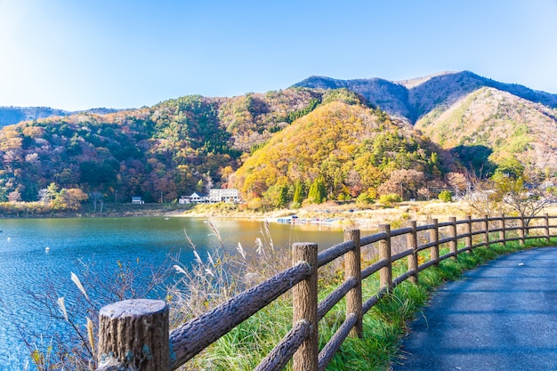 深度解析SEO优化方案，助你轻松攀登搜索引擎巅峰