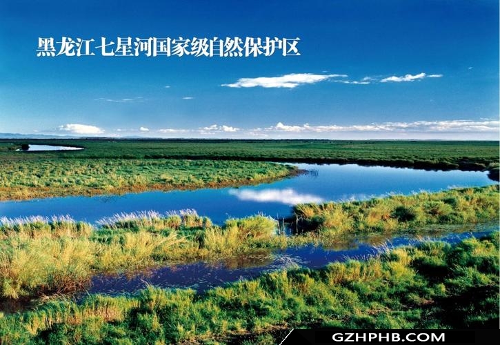 双鸭山湖南SEO：提升网站可见度的实用技巧 (双鸭山的)-SEO论坛-分享经验-东莞市快语信息咨询有限公司