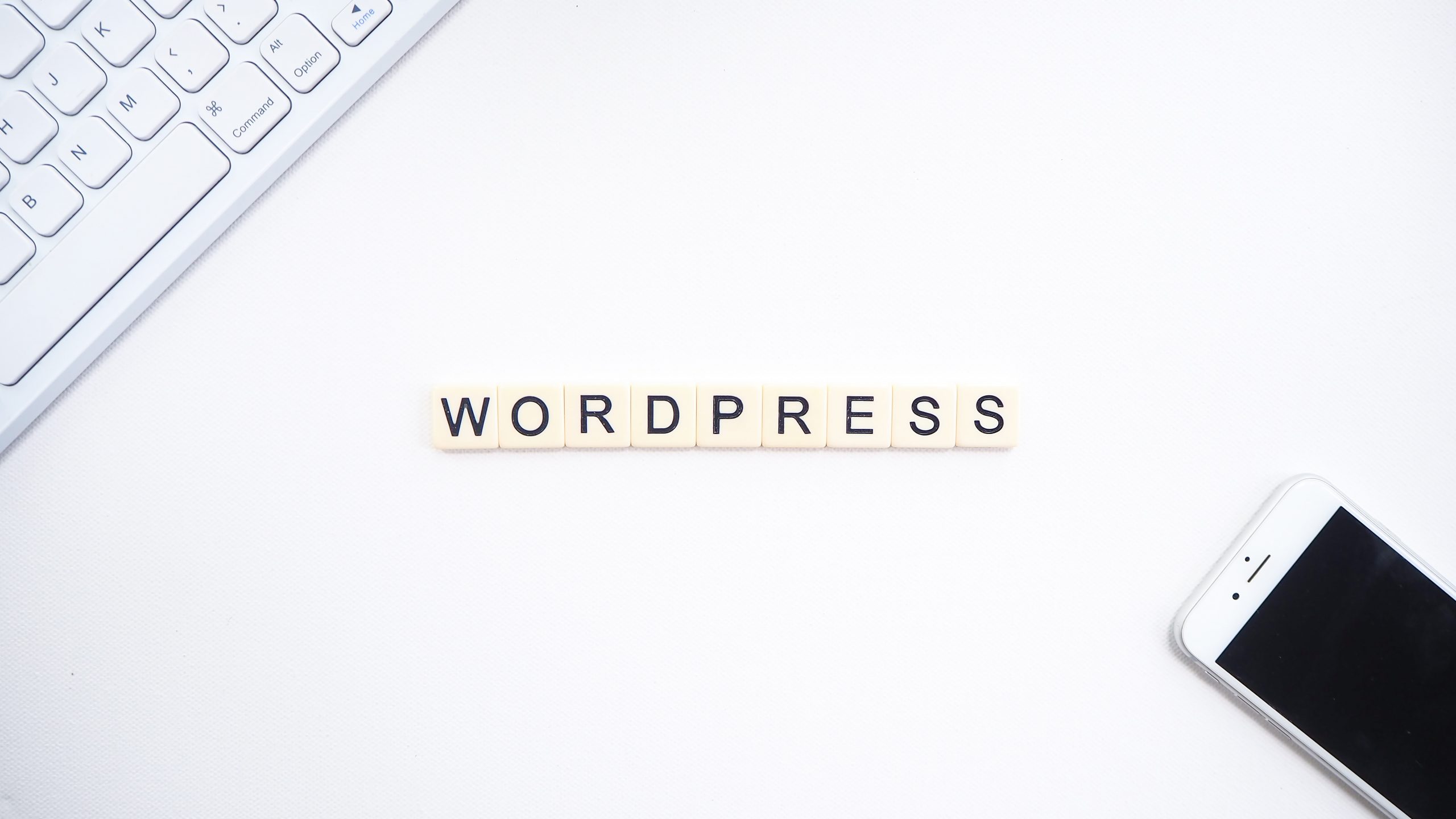 wordpress怎么用来赚钱 (wordpress网页版入口看文)-SEO论坛-分享经验-东莞市快语信息咨询有限公司