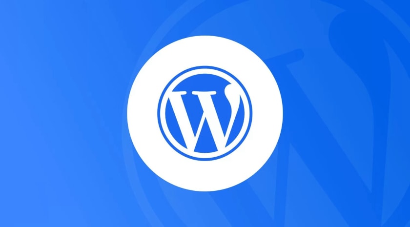 wordpress theme programmer (wordpress是干什么的)-SEO论坛-分享经验-东莞市快语信息咨询有限公司