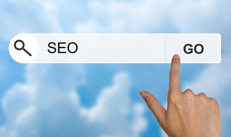 网站seo搜索优化怎么看出来效果