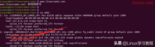 查看linux系统信息 (查看linux系统版本)-SEO论坛-分享经验-东莞市快语信息咨询有限公司