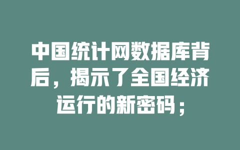 中国统计网数据库背后,揭示了全国经济运行的新密码; 一