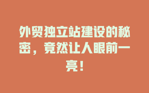 外贸独立站建设的秘密,竟然让人眼前一亮! 一