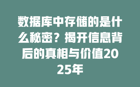 数据库中存储的是什么秘密？揭开信息背后的真相与价值2025年 一