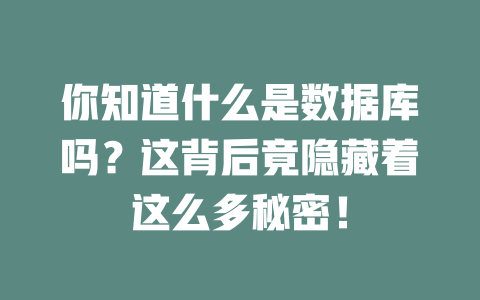 你知道什么是数据库吗？这背后竟隐藏着这么多秘密！-SEO论坛-分享经验-东莞市快语信息咨询有限公司