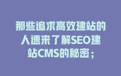 那些追求高效建站的人速来了解SEO建站CMS的秘密; 一