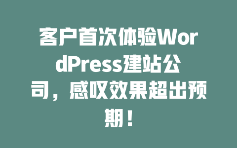 客户首次体验WordPress建站公司,感叹效果超出预期! 一