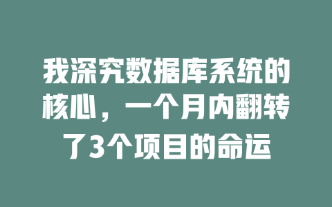 我深究数据库系统的核心,一个月内翻转了3个项目的命运 一