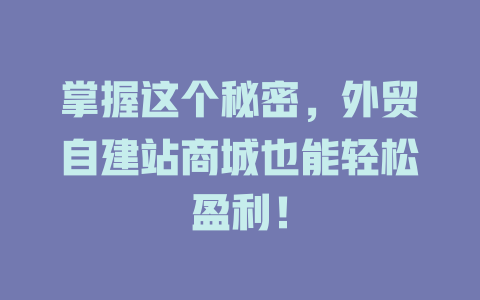 掌握这个秘密,外贸自建站商城也能轻松盈利! 一