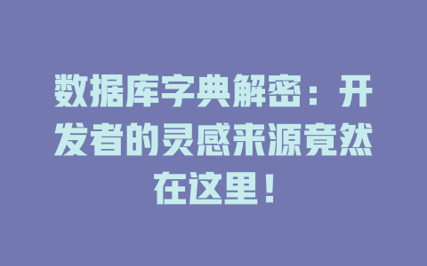 数据库字典解密:开发者的灵感来源竟然在这里! 一