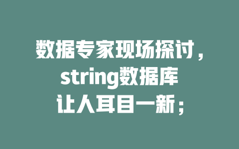 数据专家现场探讨,string数据库让人耳目一新; 一