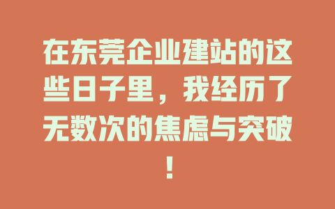 在东莞企业建站的这些日子里,我经历了无数次的焦虑与突破! 一