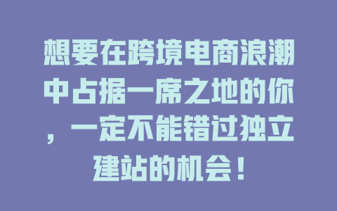 想要在跨境电商浪潮中占据一席之地的你，一定不能错过独立建站的机会！-SEO论坛-分享经验-东莞市快语信息咨询有限公司