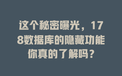 这个秘密曝光,178数据库的隐藏功能你真的了解吗? 一