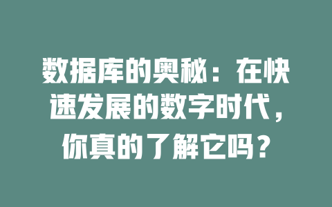 数据库的奥秘:在快速发展的数字时代,你真的了解它吗? 一