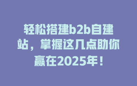 轻松搭建b2b自建站,掌握这几点助你赢在2025年! 一