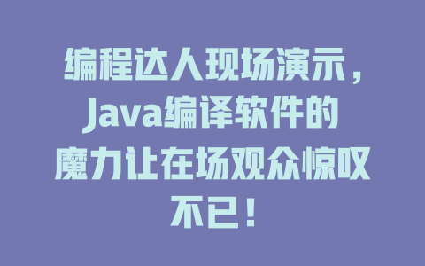 编程达人现场演示,Java编译软件的魔力让在场观众惊叹不已! 一