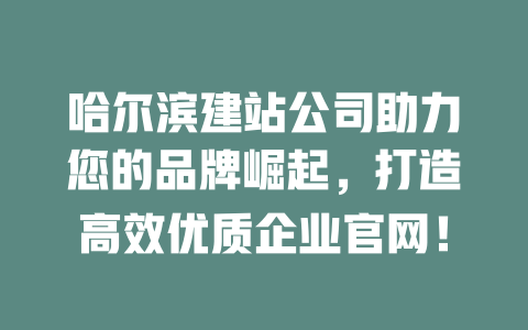 哈尔滨建站公司助力您的品牌崛起,打造高效优质企业官网! 一