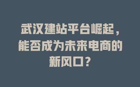 武汉建站平台崛起,能否成为未来电商的新风口? 一