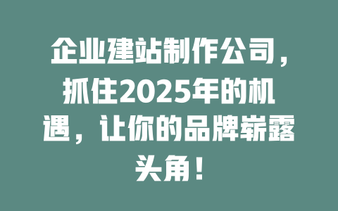 企业建站制作公司,抓住2025年的机遇,让你的品牌崭露头角! 一