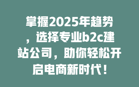 掌握2025年趋势,选择专业b2c建站公司,助你轻松开启电商新时代! 一