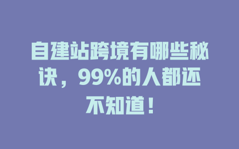 自建站跨境有哪些秘诀,99%的人都还不知道! 一