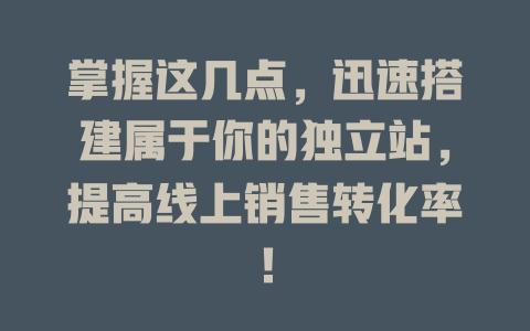 掌握这几点，迅速搭建属于你的独立站，提高线上销售转化率！-SEO论坛-分享经验-东莞市快语信息咨询有限公司
