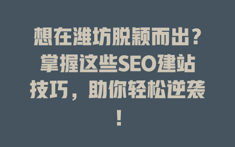 想在潍坊脱颖而出？掌握这些SEO建站技巧，助你轻松逆袭！-SEO论坛-分享经验-东莞市快语信息咨询有限公司