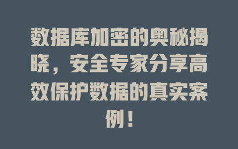 数据库加密的奥秘揭晓,安全专家分享高效保护数据的真实案例! 一