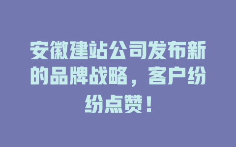 安徽建站公司发布新的品牌战略,客户纷纷点赞! 一
