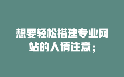 想要轻松搭建专业网站的人请注意; 一