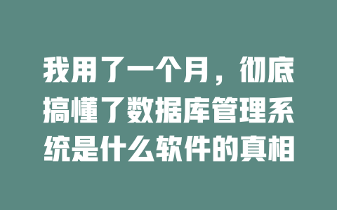 我用了一个月,彻底搞懂了数据库管理系统是什么软件的真相 一