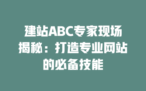 建站ABC专家现场揭秘：打造专业网站的必备技能-SEO论坛-分享经验-东莞市快语信息咨询有限公司