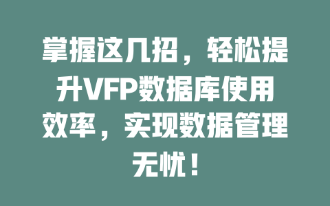 掌握这几招，轻松提升VFP数据库使用效率，实现数据管理无忧！-SEO论坛-分享经验-东莞市快语信息咨询有限公司