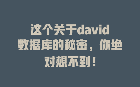 这个关于david数据库的秘密,你绝对想不到! 一