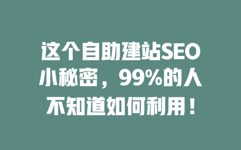 这个自助建站SEO小秘密,99%的人不知道如何利用! 一