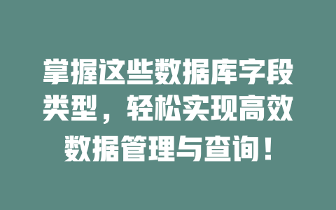 掌握这些数据库字段类型,轻松实现高效数据管理与查询! 一