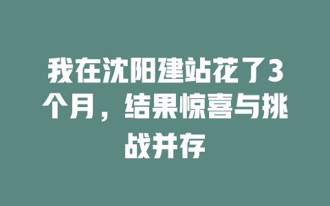 我在沈阳建站花了3个月,结果惊喜与挑战并存 一