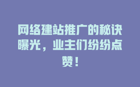 网络建站推广的秘诀曝光,业主们纷纷点赞! 一