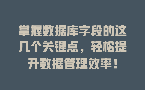 掌握数据库字段的这几个关键点,轻松提升数据管理效率! 一