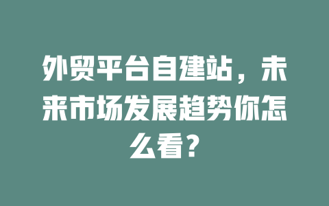 外贸平台自建站，未来市场发展趋势你怎么看？ 一