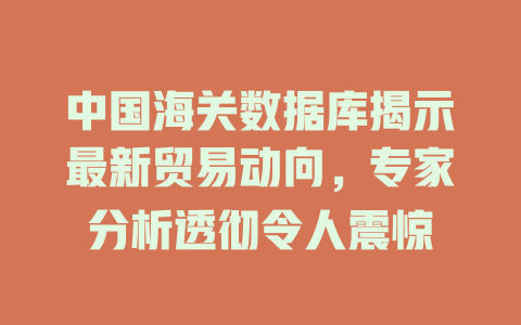 中国海关数据库揭示最新贸易动向,专家分析透彻令人震惊 一