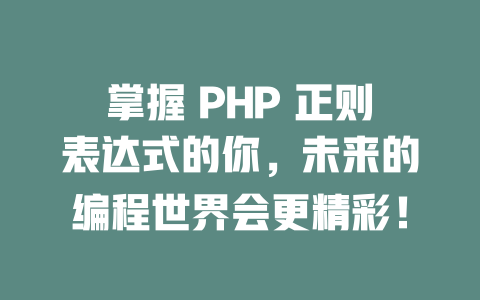 掌握 PHP 正则表达式的你,未来的编程世界会更精彩! 一