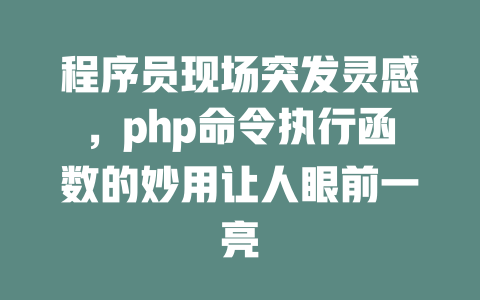程序员现场突发灵感,php命令执行函数的妙用让人眼前一亮 一